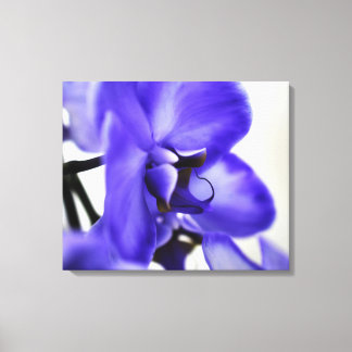 Moderne Galerie-Leinwand – Elegante Kunst Leinwanddruck