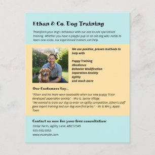 Moderne Gelb Blau Hunde Training Haustier Dienstle Flyer