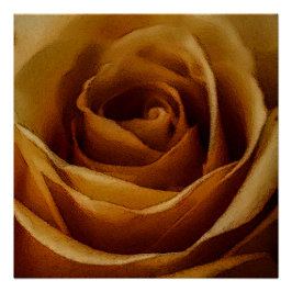 Moderne Gelbe Rose Poster