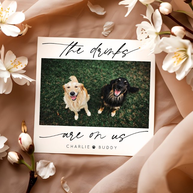 Moderne Getränke sind auf dem Foto unserer Haustie Serviette (Von Creator hochgeladen)