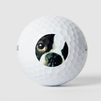 moderne Großstadt Boston Terrier Golfball