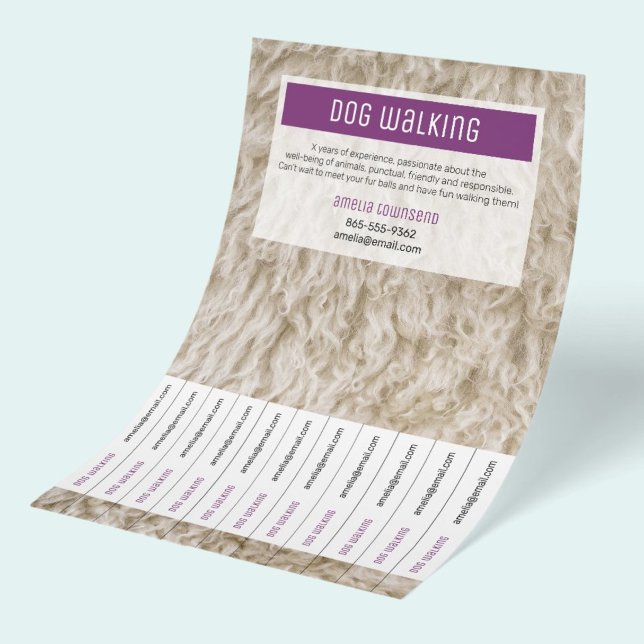 Moderne Haustiersitting-Flugblätter Geschäftswerbu Flyer (Attention grabbing Professional Dog Walking Business Flyers, clean modern branded advertising.)
