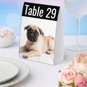 Moderne Hochzeitstisch-Nummer mit Haustier-Foto Tischaufsteller