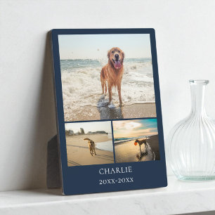 Moderne Hund Andenken Blau Individuelle Haustier C Fotoplatte