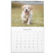 Moderne Hundefamilie für Fotos kreieren Ihren eige Kalender (Jan 2025)