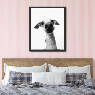 Moderne individuelle Tierfotos   Meeko Large Poster