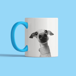 Moderne individuelle Tierfotos Meeko Zweifarbige Tasse