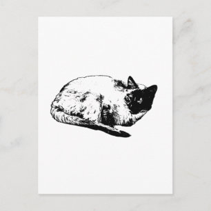 Moderne Katze, Wintermoment Postkarte