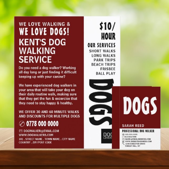 Moderne, kühne, Hunde-Walker-Service-Werbung Flyer (Von Creator hochgeladen)