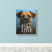 Moderne Liebe Benutzerdefinierte Boxer-Hunde Haust
