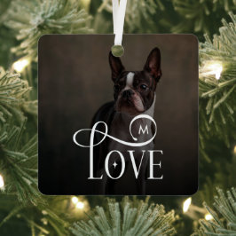 Moderne Liebe Maßgeschneiderte Hunde Haustiere Fot Ornament Aus Metall