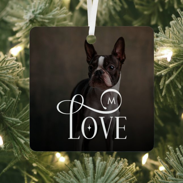 Moderne Liebe Maßgeschneiderte Hunde Haustiere Fot Ornament Aus Metall (InSitu)