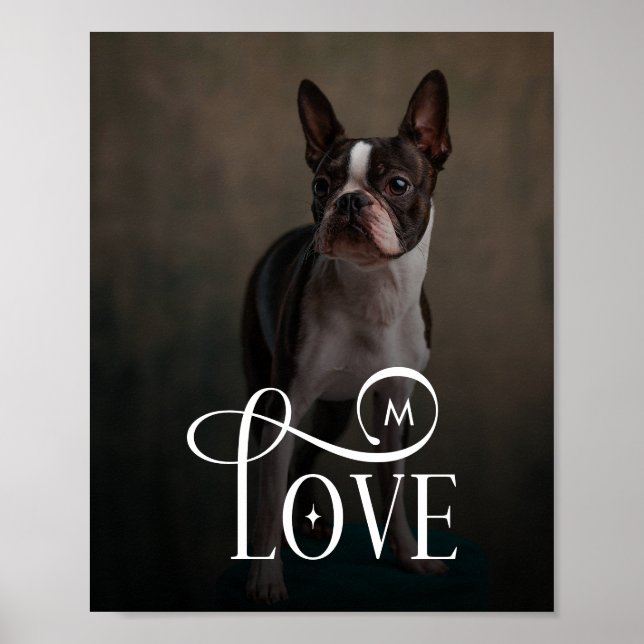 Moderne Liebes-Hunde-Fotos mit Monogramm Poster (Vorne)