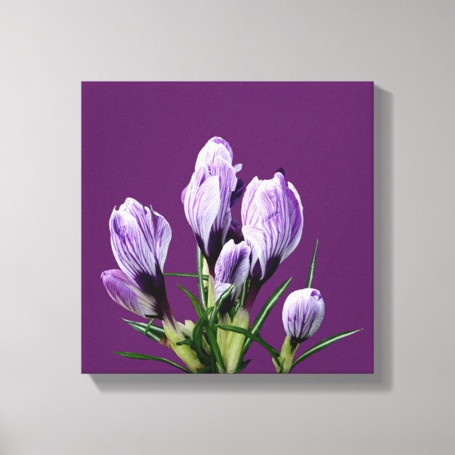Moderne lila Crocus floral trendig digital stilvol Leinwanddruck (Vorderseite)
