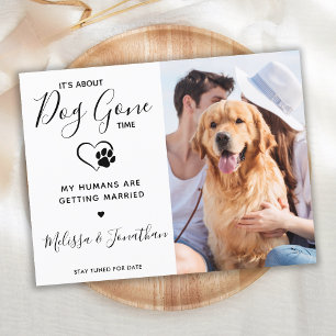 Moderne lustige Tierhochzeit Hund Verlobung Fotos Ankündigungspostkarte