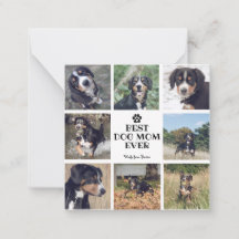 Moderne Mama Bester Hund je Weiß 8 Fotos