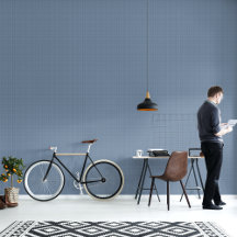 Moderne Minimalistische, blau-karierte Wohngestalt