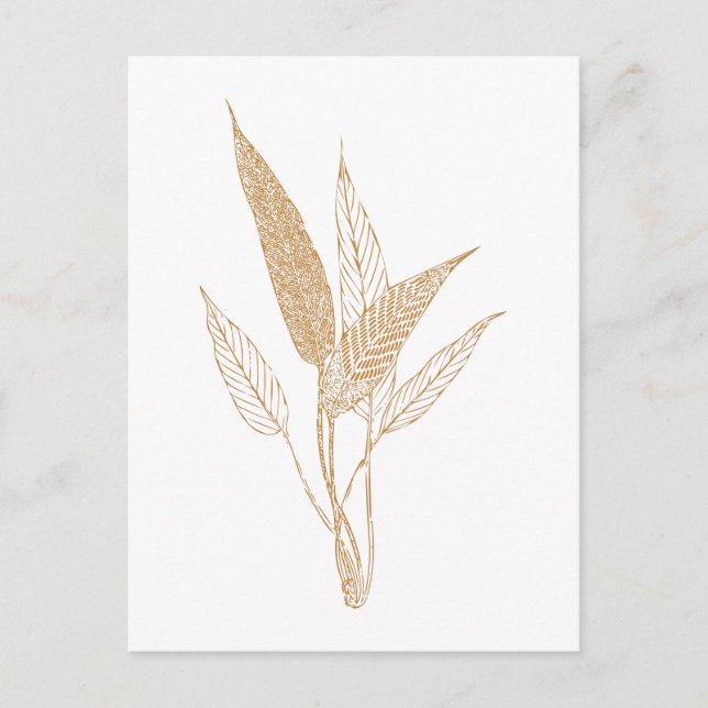 Moderne Minimalistische botanische Blätter Zeichne Postkarte (Vorderseite)