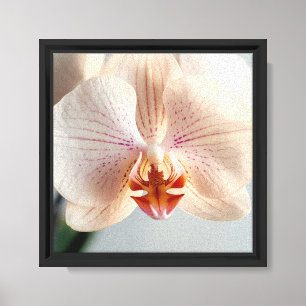 Moderne minimalistische elegante Blumengestaltung  Leinwanddruck