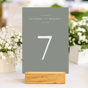 Moderne Minimalistische Hochzeit in Grün Tischnummer