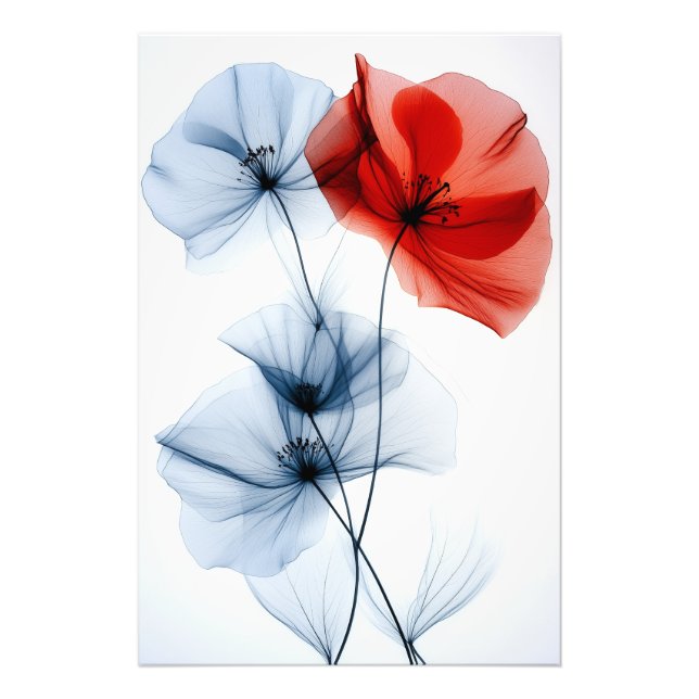 Moderne minimalistische Kunst, transparente Blume Fotodruck (Vorne)