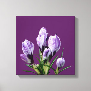 Moderne minimalistische lila Krokus-Blumen-Trendy- Leinwanddruck