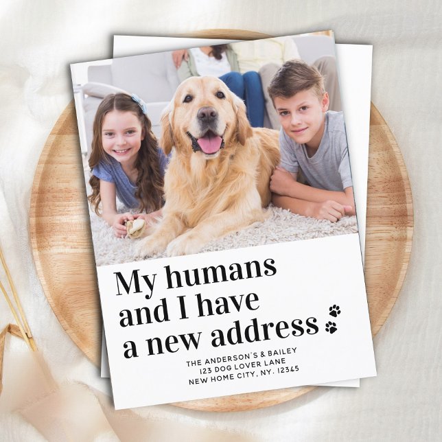 Moderne neue Adresse I Moving Pet Foto Dog Moving Postkarte (Von Creator hochgeladen)