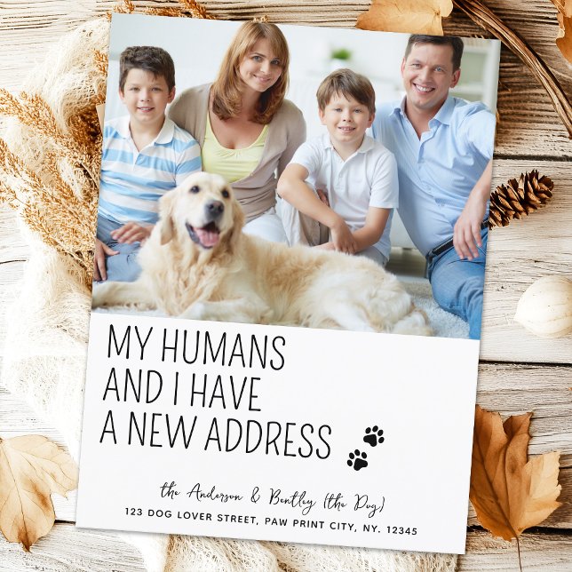 Moderne neue Adresse Wir bewegten Foto Hund für Ha Postkarte (Von Creator hochgeladen)
