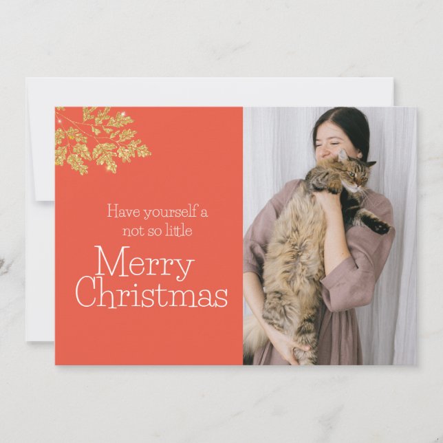 Moderne nicht so kleine Katze Weihnachten ein Foto (Vorderseite)