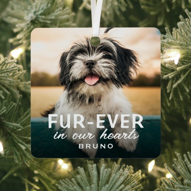 Moderne niedliche Fotohund-Andenken-Gedenkstück Ornament Aus Metall (InSitu)