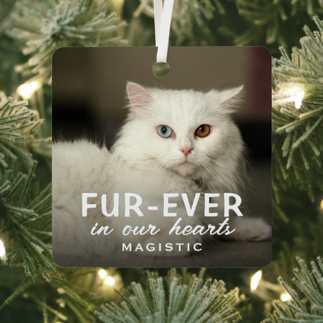 Moderne niedliche Fotokatze Erinnerungsandenken Ornament Aus Metall (InSitu)