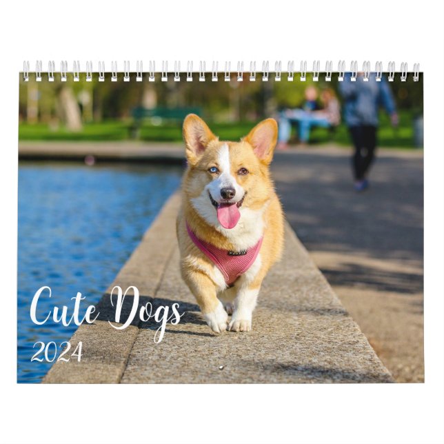 Moderne Niedliche Hunde-Fotos 2024 Kalender (Titelbild)