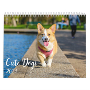 Moderne Niedliche Hunde-Fotos 2024 Kalender
