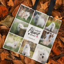 Moderne Niedliche Paws je Niedlicher Hundehund Fot