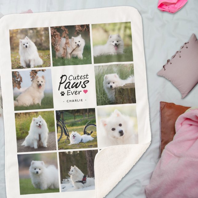 Moderne Niedliche Paws je spielerisch Hundfoto Col Sherpadecke (Von Creator hochgeladen)