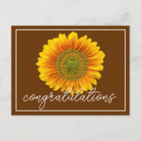 Moderne Orange und Gelbe Sonnenblume Gratulation