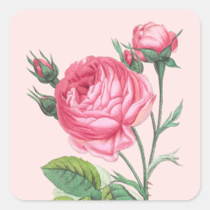 Moderne Pastell-Rosette in Rosa Quadratischer Aufkleber