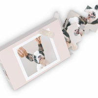 Moderne pastellrosa Rahmen | Persönliches Hundetea