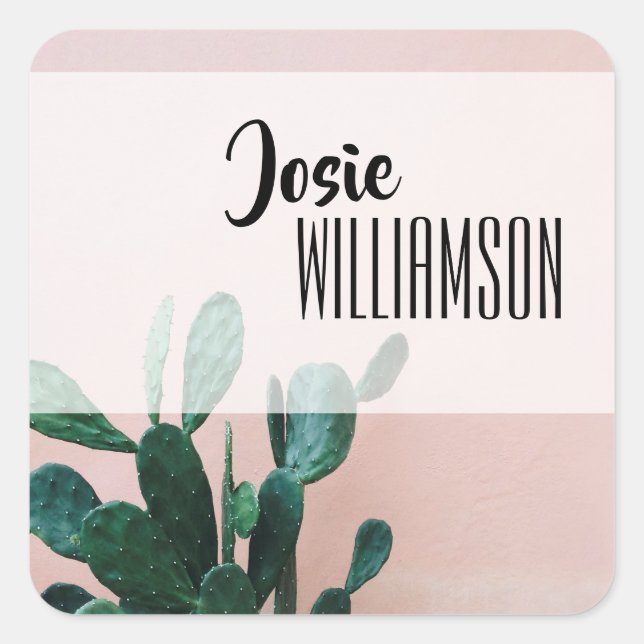 Moderne rosa Kaktus Quadratischer Aufkleber (Vorderseite)
