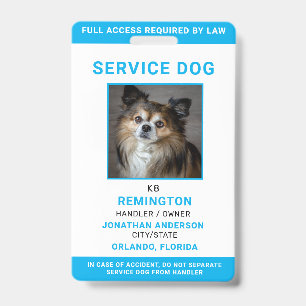 Moderne Rot Blaue Einfache Servicehund-Foto-ID-Mar Ausweis