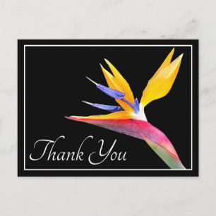 Moderne, schöne Bird of Paradise-Blumen-Dankeschön Postkarte