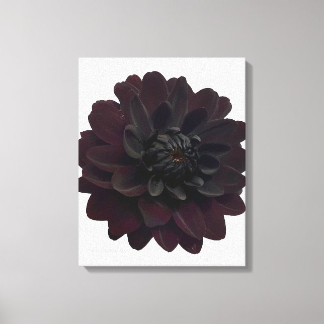 Moderne Schwarze Blume Leinwanddruck (Vorderseite)