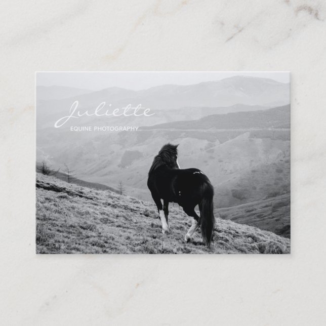 Moderne Script Schwarz-weiß Horse Equine Fotografi Visitenkarte (Vorderseite)