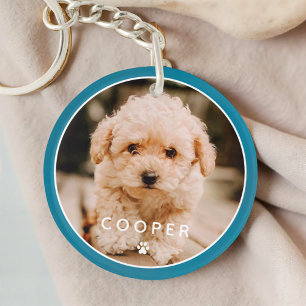 Moderne Simple Jouer Élégant Chic Paw Pet Photo