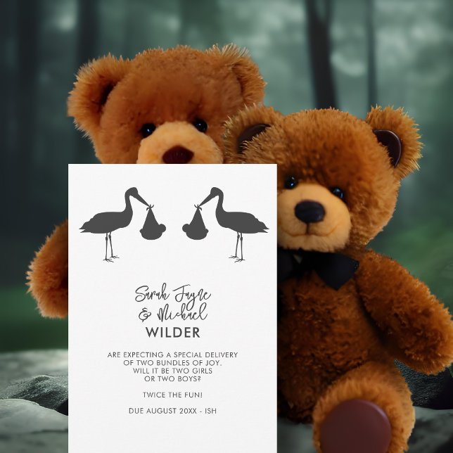 Moderne Stork Twins Pregnancy Announctions Cards Ankündigung (Von Creator hochgeladen)