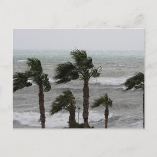 Moderne Strandlandschaft Natur Postkarte