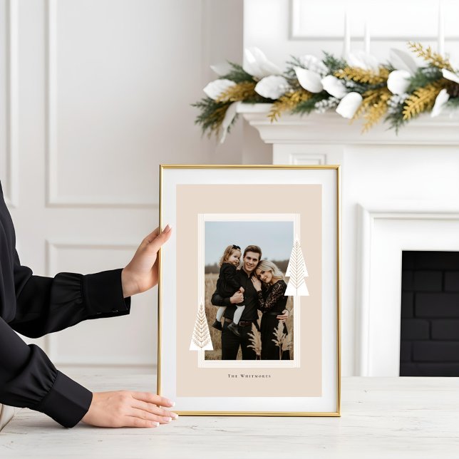 Moderne Stripe Frame Evergreen Weihnachtsbaum Foto Poster (Modern Stripe Frame Evergreen Christmas Tree Photo Poster)