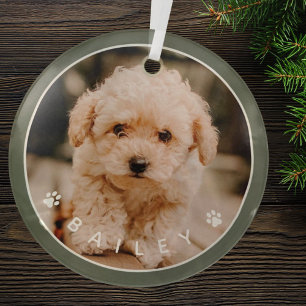 Moderne süße Pfoten Familien-Tierfoto Ornament Aus Glas
