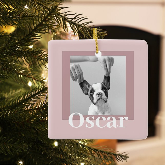 Moderne Taupe & Pink | Hundebahn Foto Keramikornament (Von Creator hochgeladen)