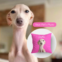 Moderne Tier-Foto + Name | Geschenk für Hunde-Vate